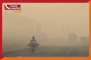 Gujarat weather update temprature will be down upto 14 degree celcius